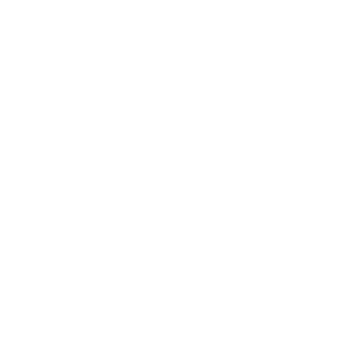 inspectionicon